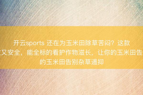 开云sports 还在为玉米田除草苦闷?这款新选用高效又安全,能全标的看护作物滋长,让你的玉米田告别杂草遏抑